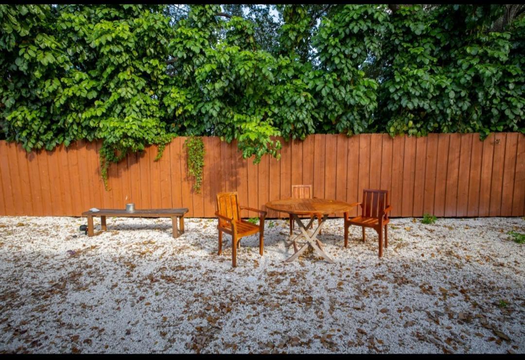 Beautiful Studio In Heart Of Miami Villa Екстериор снимка